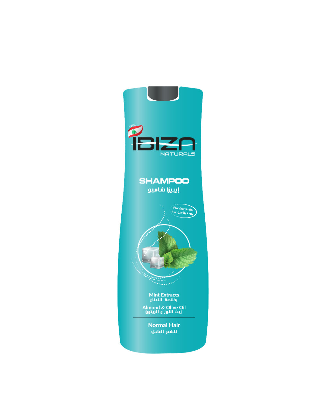 Ibiza Mint Extracts 750Ml mint and ice B Home