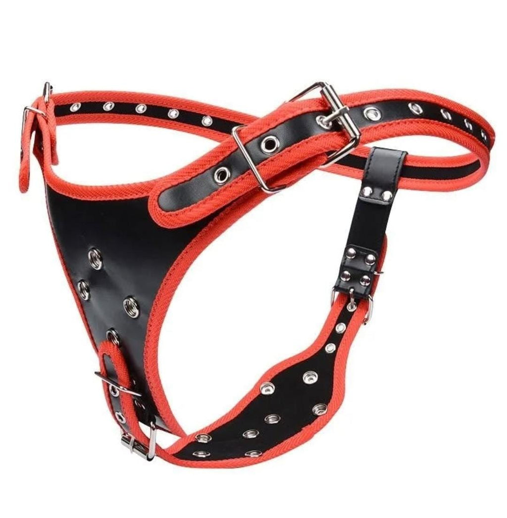 3 in one strap*on TH Shop